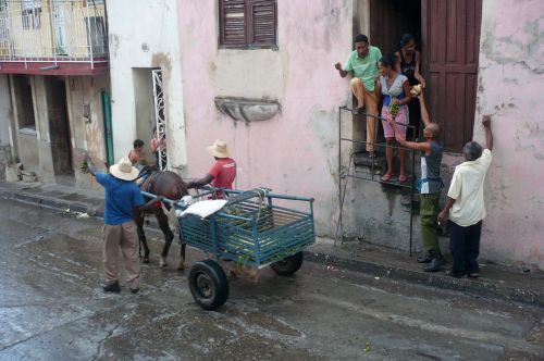 salsa/cuba/voyage2011/padre2/viosinspregon-3.jpg